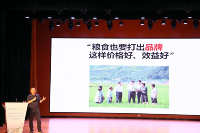 “鄉村智庫”、“專家智匯”共同加力麻章提速“百千萬工程”落實落細